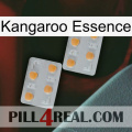 Kangaroo Essence 25